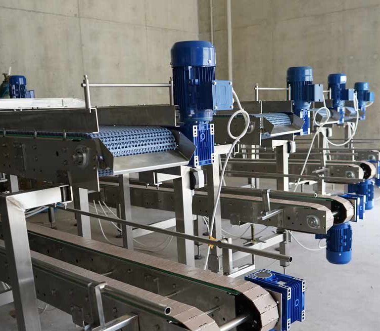 Stone fruit Washing Line