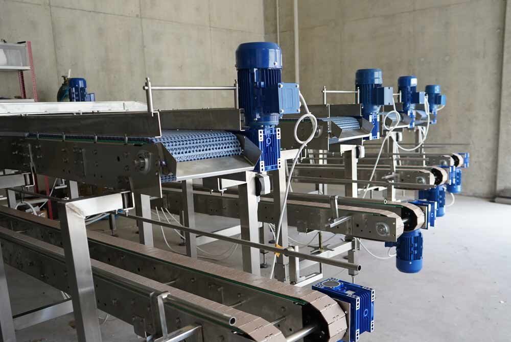 Stone fruit Washing Line