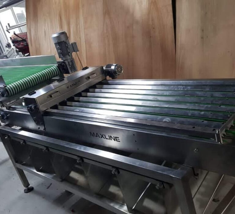 Cherry waching and sorting machine